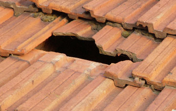 roof repair Bow